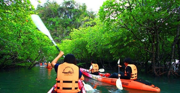 Krabi: Mangrove Kayak Adventure in Boh Tor, Ao Luek
