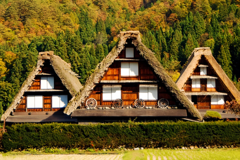 Nagoya Exclusive: Shirakawa-go Gassho Village &Takayama Tour 8:30 AM at Takayama & Shirakawa-go Gassho Village Day Tour