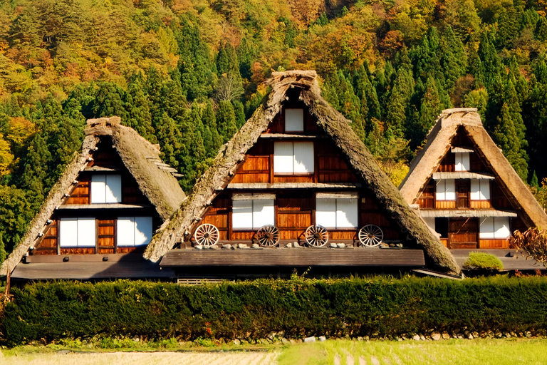Nagoya Exclusive: Shirakawa-go Gassho Village &Takayama Tour 8:30 AM at Takayama & Shirakawa-go Gassho Village Day Tour