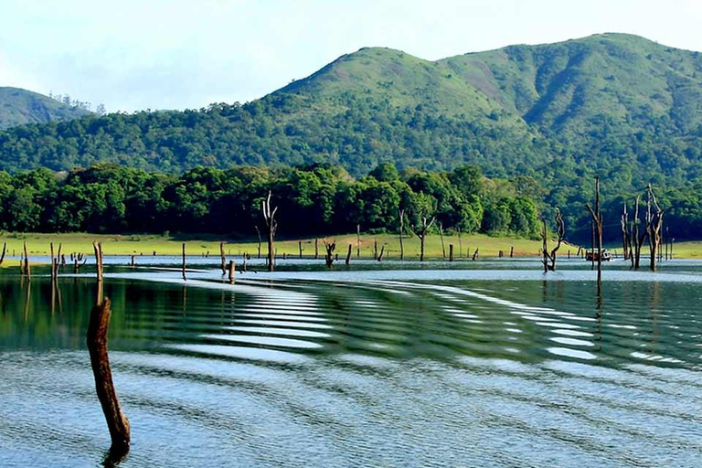 Vanuit Kochi: 3-Daagse Periyar Wildlife Sanctuary Tour