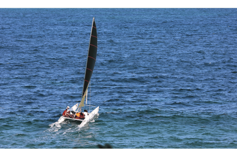 Ocean Springs: lezione di vela in catamaranoOcean Springs: Lezione di vela in catamarano