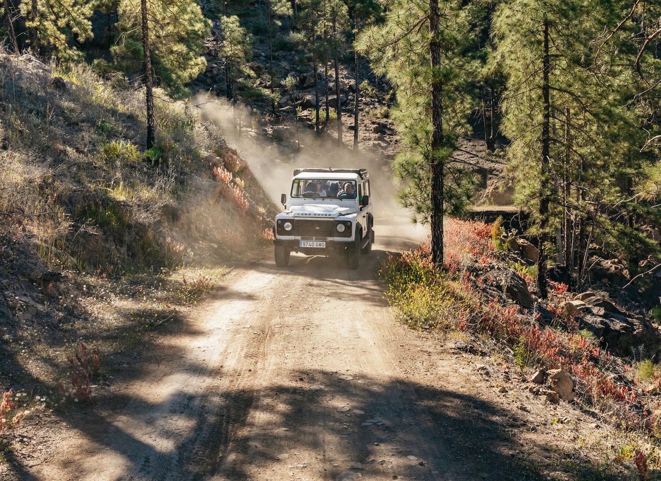 Sydlige Gran Canaria: Offroad-tur i dale og landsbyer med jeep