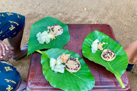 Colombo: Tour delle piantagioni di tè e delle tenute di gomma con pranzo