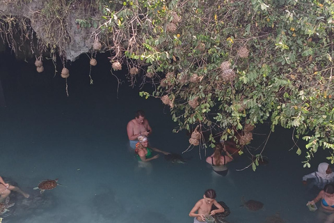 ZANZIBAR: Farma przypraw, jaskinia Salam, pływanie z żółwiami i restauracja RockWYCIECZKA PRYWATNA Z TRANSPORTEM