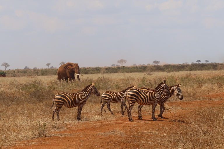 Nairobi: 3 days Lake bogoria, baringo & nakuru private tour