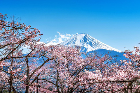 From Tokyo: Mt. Fuji One-Day Private and Customizable Tour