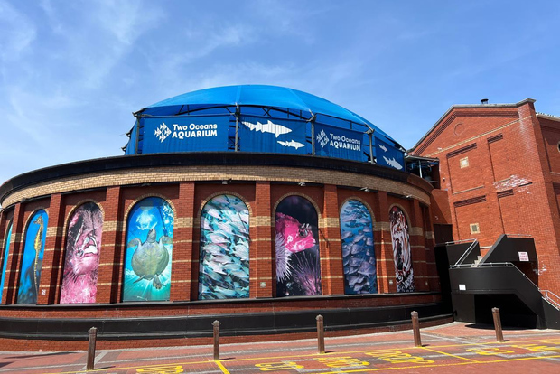 Two Oceans Aquarium World Birds & Wine Tasting Private Tour