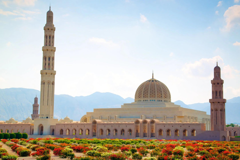 Muscat: Full-day Tour with Sunset Dhow Cruise & Local Lunch Full-Day Tour with German French Guide,Dhow Cruise and Lunch