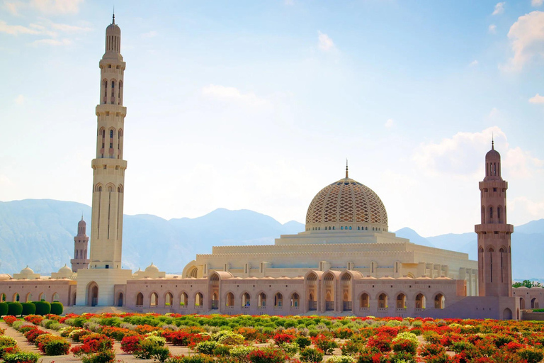Muscat: Full-day Tour with Sunset Dhow Cruise & Local Lunch Full-Day Tour with German French Guide,Dhow Cruise and Lunch