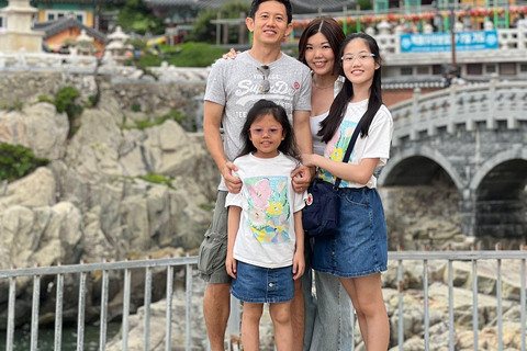 Busan: Top Attractions Tour for Cruise Guests For Busan Cruise Guest Highlight Top Attraction Group Tour