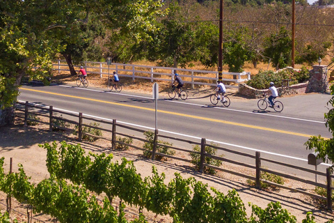 Los Olivos: Excursión en E-Bike + Comida en el Viñedo con Degustación de Vinos