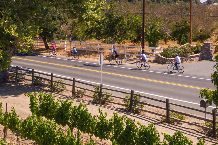 Los Olivos: Excursión en E-Bike + Comida en el Viñedo con Degustación de Vinos