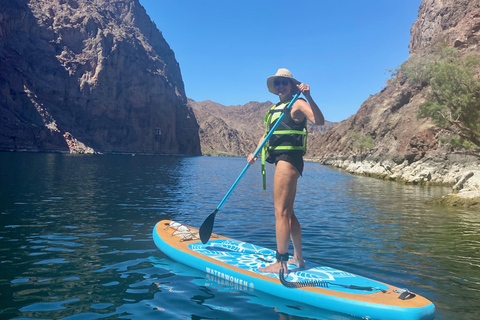 Plage de Willow : Location de paddle board