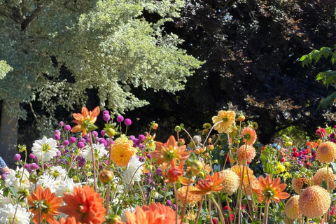 Christchurch: 90-Minute Botanic Gardens Guided Walking Tour