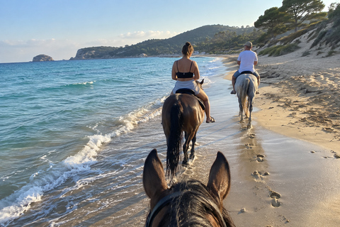 Zakynthos: Beach Horseback Riding and Swimming Experience