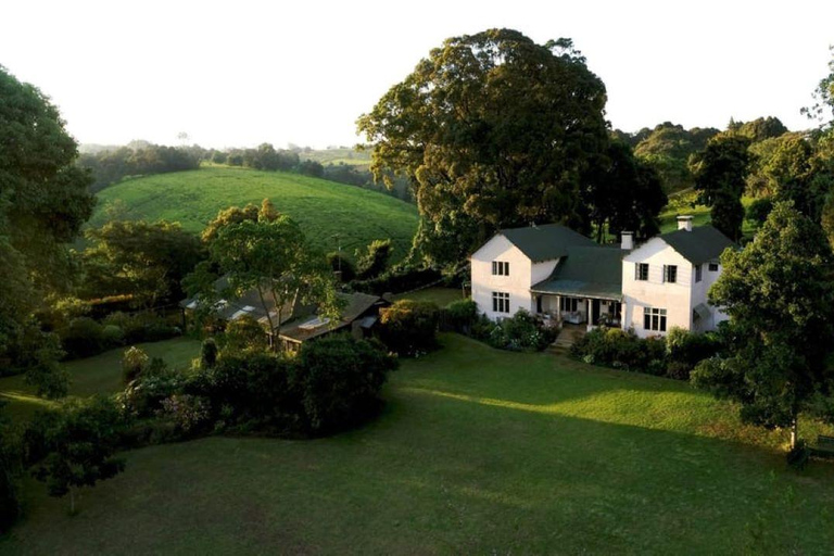 Tea Farm From Nairobi (Kiambethu)