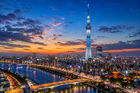 Tokyo City Tour: Private Full-Day Tour with Hotel Pickup Comfortable, air-conditioned Vellfire for 1–6 guests-8- Hour