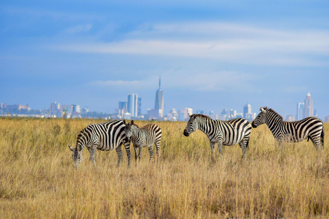 Nairobi National Game Drive and Giraffe Centre Guided Tour