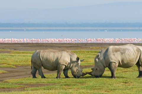 Nairobi: Lake Nakuru National Park Day Trip & Game Drive Lake Nakuru National Park Private Tour.