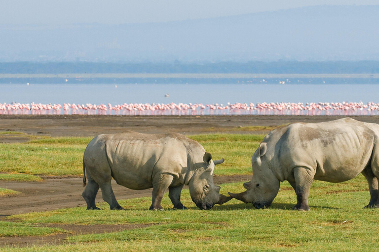 Nairobi: Lake Nakuru National Park Day Trip & Game Drive Lake Nakuru National Park Day Trip From Nairobi.