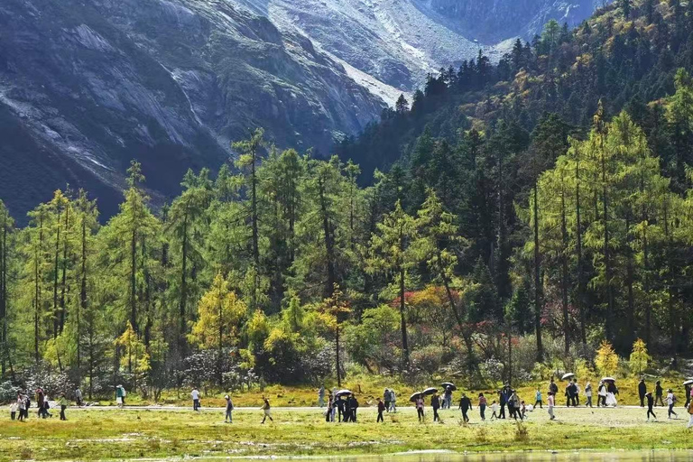 Sichuan: Bipenggou Valley Entry Ticket with Eco-Bus & Tips