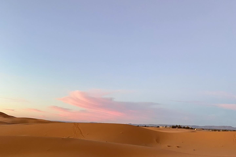 Riyadh:Red Sand Dunes camel ride&Quad&Sandboarding Adventure Private Tour with pick up and drop off from your location