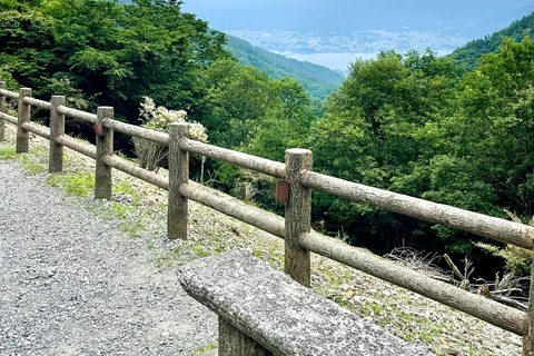 东京：富士山、Tatoo OK 温泉、清酒品尝和 Hoto 午餐