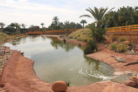 Agadir: Entreebewijs Crocopark &amp; Tour geit op boom zienOphaalservice vanaf Agadir