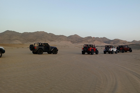Al Shamsi: Arabian Desert Camp Experience