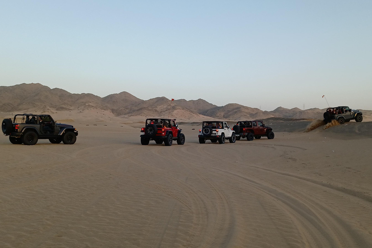 Al Shamsi: Arabian Desert Camp Experience
