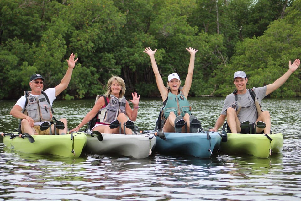 From Naples, FL: Marco Island Mangroves Kayak Or Paddle Tour | GetYourGuide