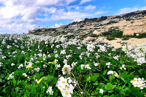 Gozo Unveiled: Guided Hiking in Gozo - The WestGozo Unveiled: Guided Hiking Tour at the West of Gozo