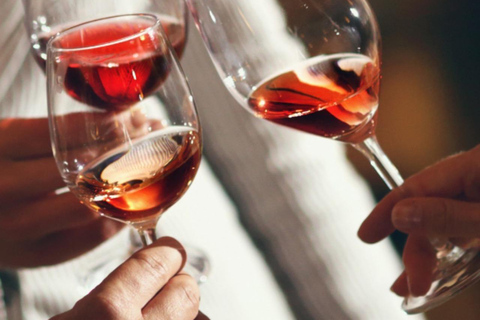 Bariloche: Wine Tasting Winehouse Experience