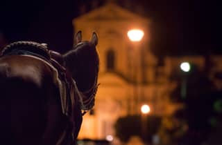 Palermos dunkle Schatten: Geister, Verbrechen und Verkostung – Rundgang