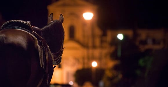 Palermo&#39;s Dark Shades: Crimes, Legends & Tasting Tour