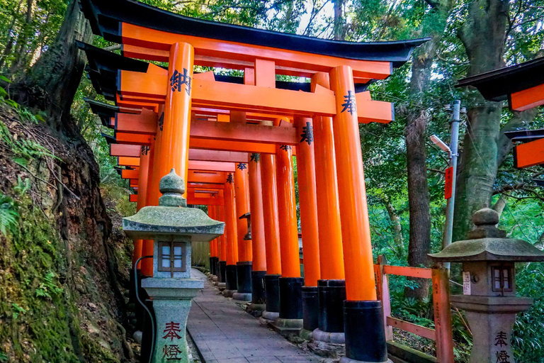 Osaka:Kyoto & Nara & Uji Tour, Todaiji, Fushimi Inari Taisha Nara & Kyoto & Uji Tour | 8:00 AM from Osaka