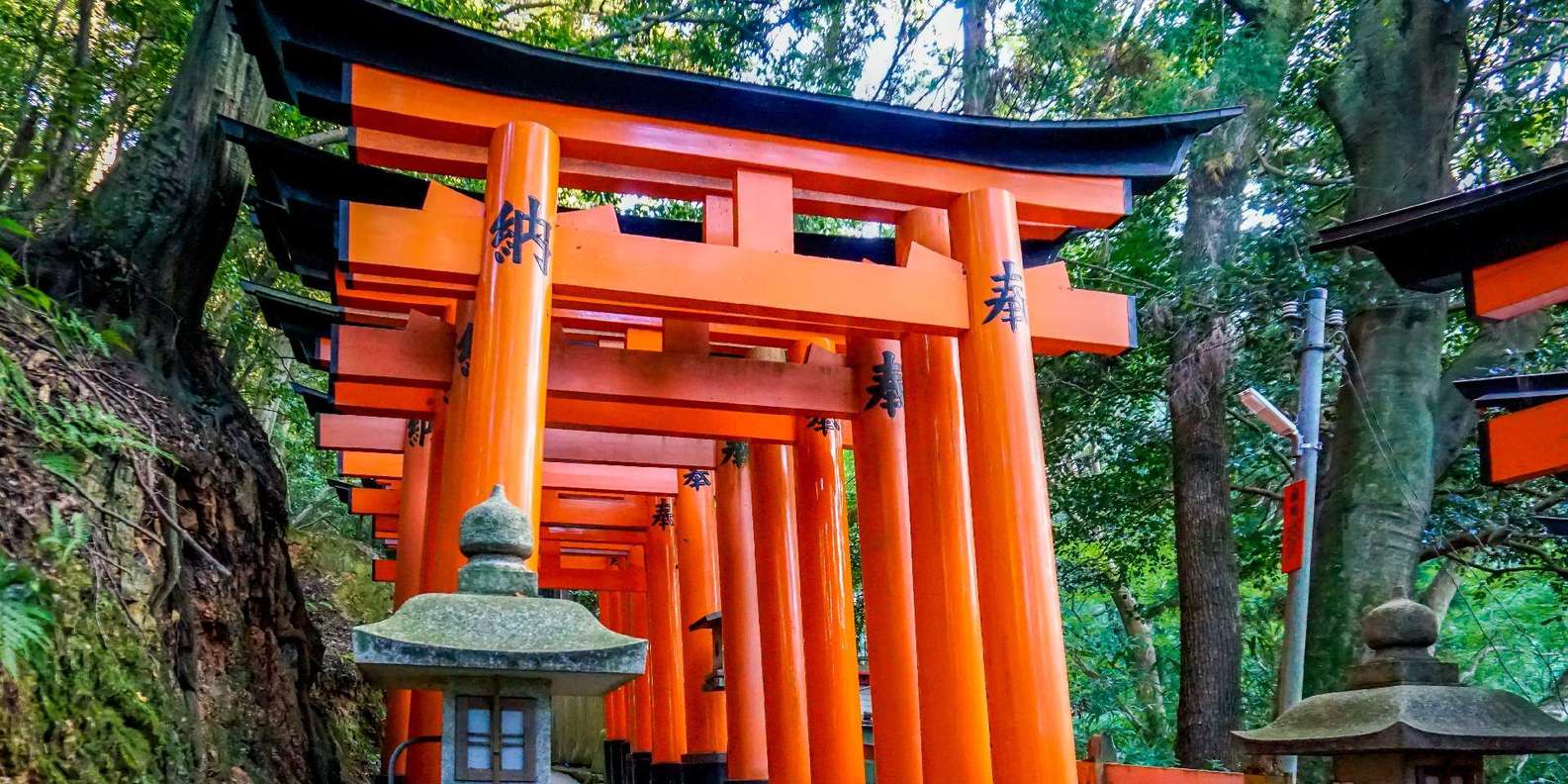Kyoto experience — temples, geisha, bamboo grove — image 32