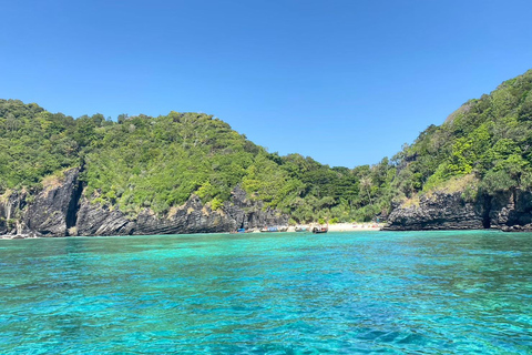 Desde Phi Phi Chárter de lujo en barco de cola larga Isla Phi PhiTour de 6 horas en barco de lujo por la isla Phi Phi