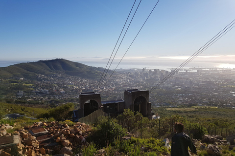 Cape Town: the Mountain, the Garden and the Vineyard