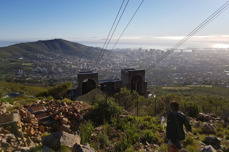 Cape Town: the Mountain, the Garden and the Vineyard