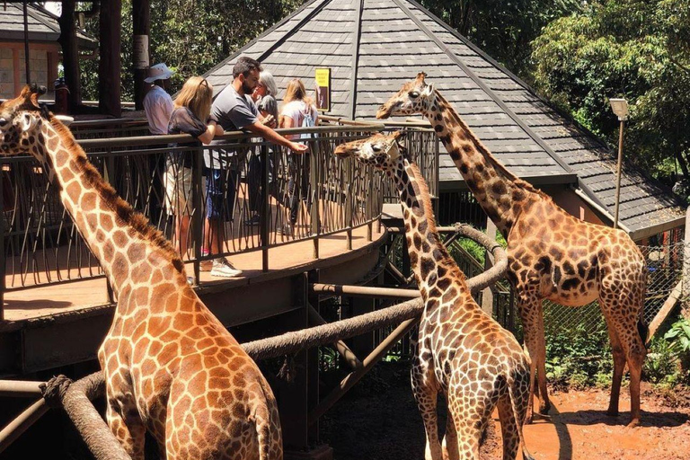 Nairobi: Giraffe Center Day Trip