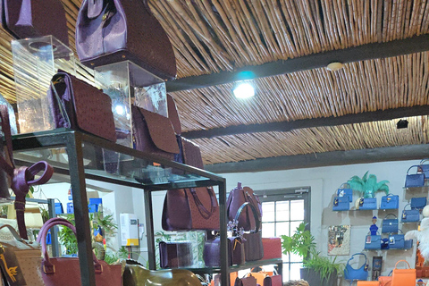 Cape Town: Ostrich Ranch Safari with Hotel Transfer