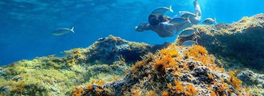 De Cala Gonone : plongée en apnée dans le golfe d'Orosei