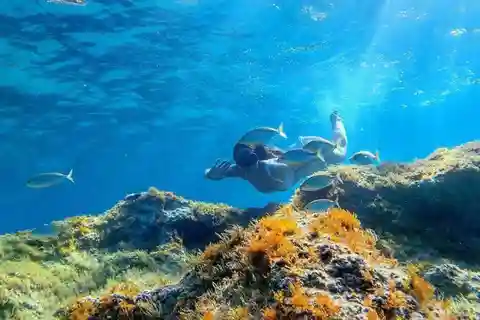 De Cala Gonone: mergulho com snorkel no Golfo de Orosei