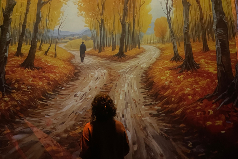 Gecombineerd ticket: Digitale tentoonstelling &amp; Illusiemuseum