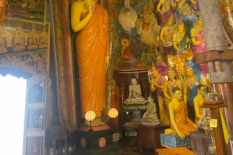 Tour de la ciudad en tuk tuk por Colombo (entradas y comida incluidas)Tour de la ciudad de Colombo en tuk con guía privado (todo incluido)