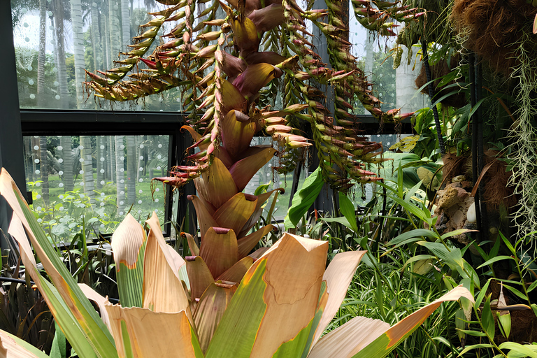 Bogotá: Tropicarium and Botanical Garden Entry Ticket