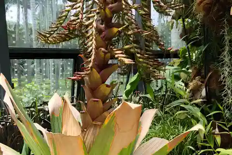 Bogotá: Excursão ao Tropicarium e ao Jardim Botânico