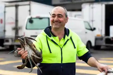 Sydney - Fiskmarknad Rundvandring på morgonen på Sydneys fiskmarknad