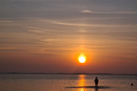 Doha: Full Day Desert Safari, BBQ Dinner, and Stargazing